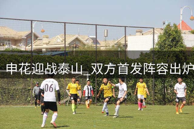 申花迎战泰山 双方首发阵容出炉